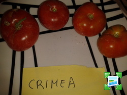 2013-09-01095532.jpg