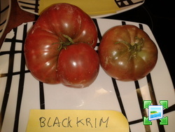 2013-09-01095542.jpg