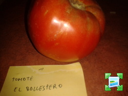 2013-09-03231515.jpg