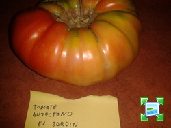 2013-09-03231551.jpg