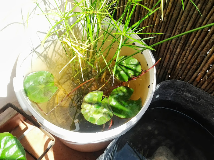 2013-09-08+15.09.27.jpg