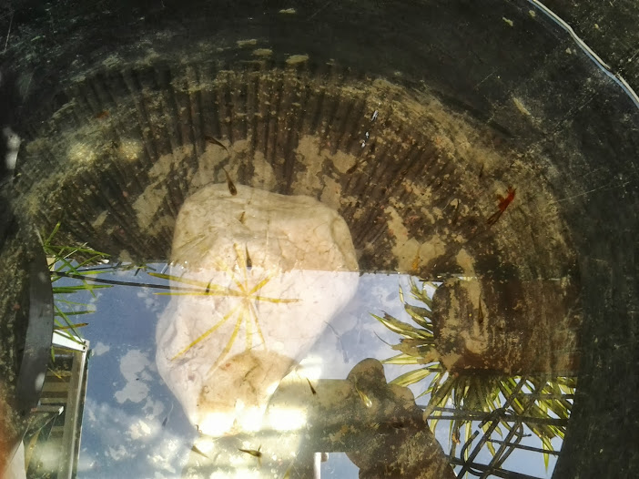 2013-09-08+15.09.34.jpg