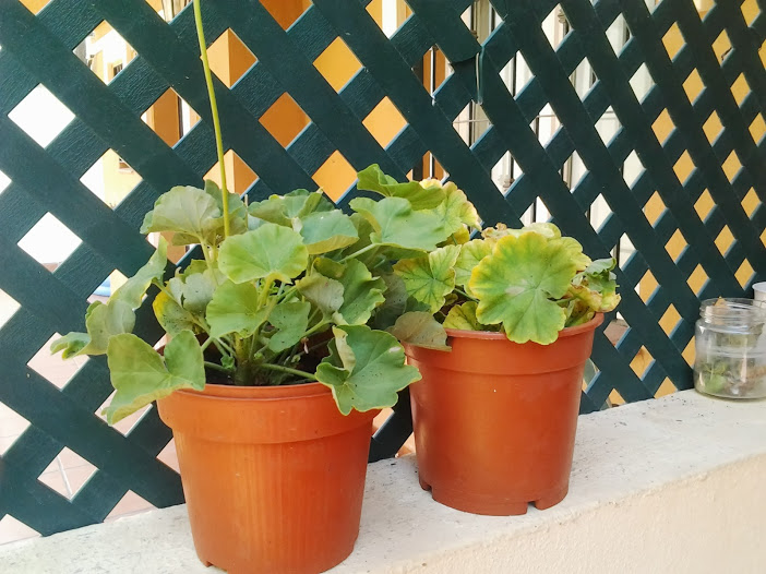 2013-09-08+15.09.59.jpg