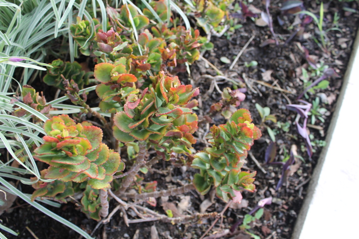 2013-09-10091926_zps2e69854d.jpg