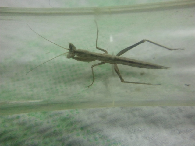 2013-10-02231630_zps4faeda0d.jpg