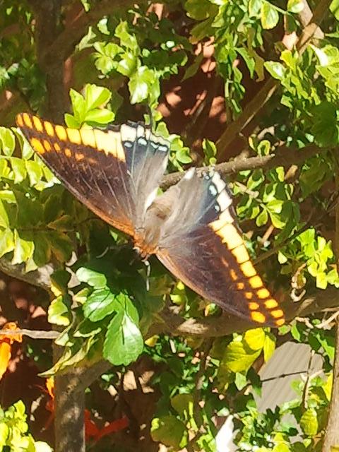 2013-10-29141400_zpsa583744f.jpg