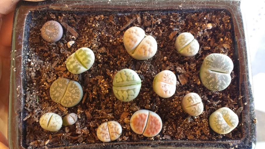 2013-11-09+13.12.43.jpg