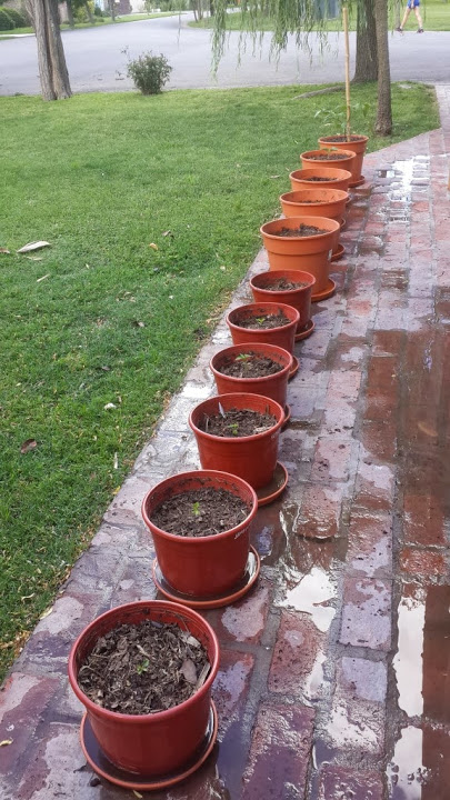 2013-11-20%252016.21.04.jpg