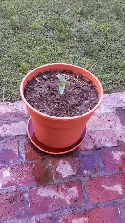 2013-11-20%252016.21.23.jpg