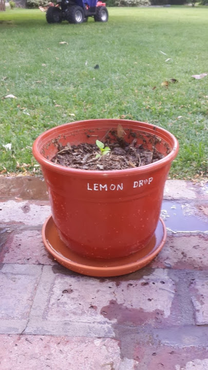 2013-11-20%252016.21.35.jpg