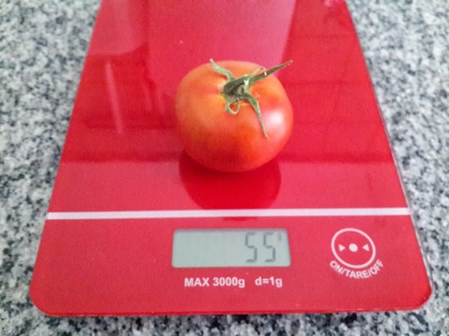 2013-12-15%252015.57.10.jpg