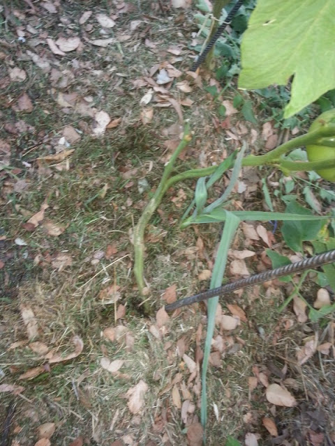 20130103_191340.jpg
