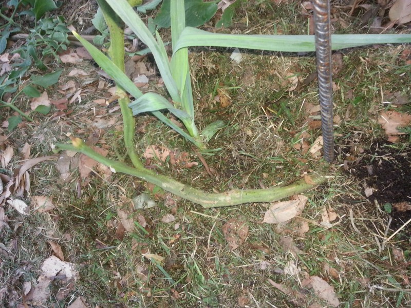 20130103_191438.jpg