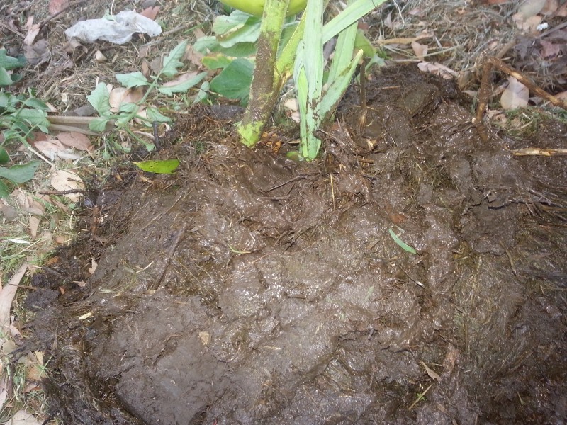 20130103_192108.jpg