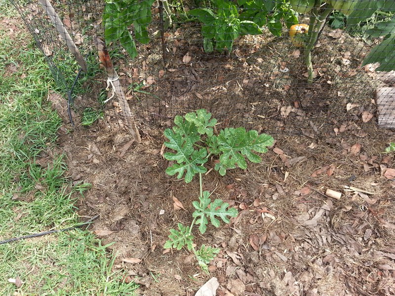 20130104_161207.jpg