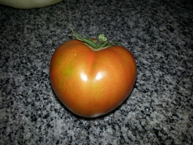 20130106_203015.jpg