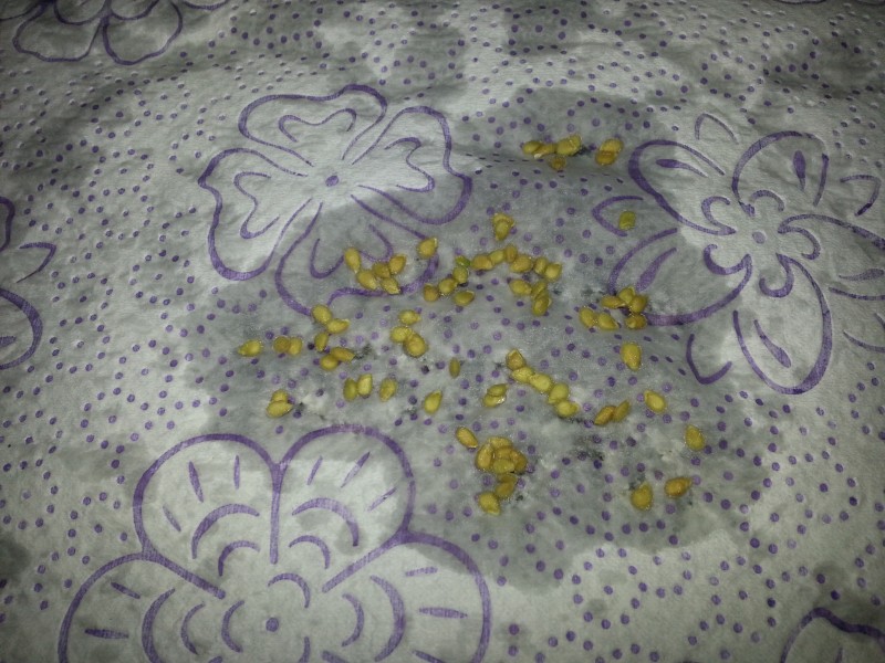 20130108_152415.jpg