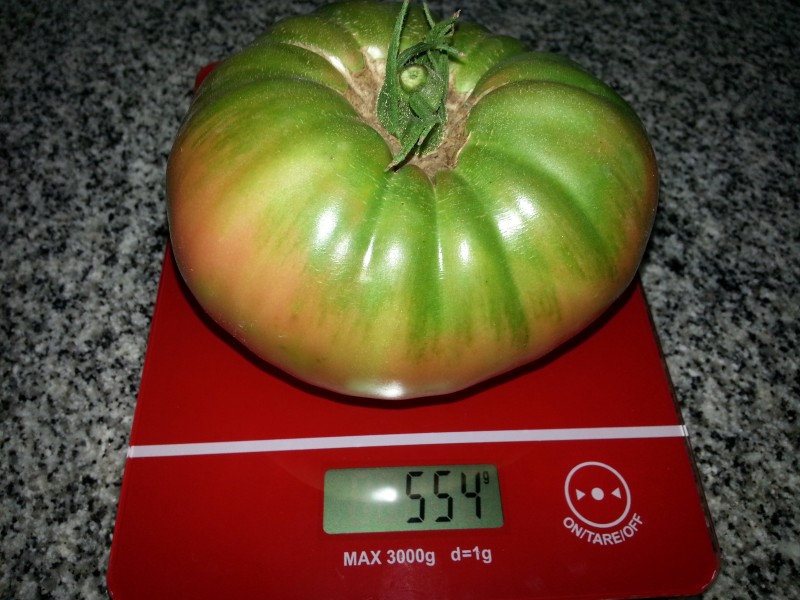20130108_153158.jpg