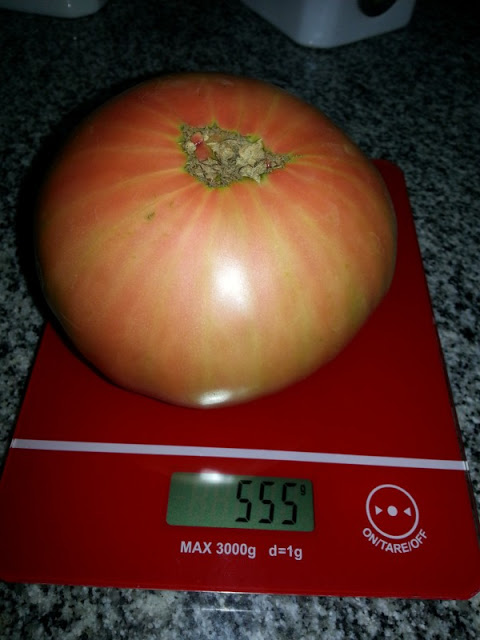 20130108_153219.jpg