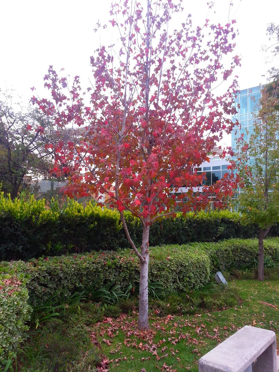 20130108_154711.jpg