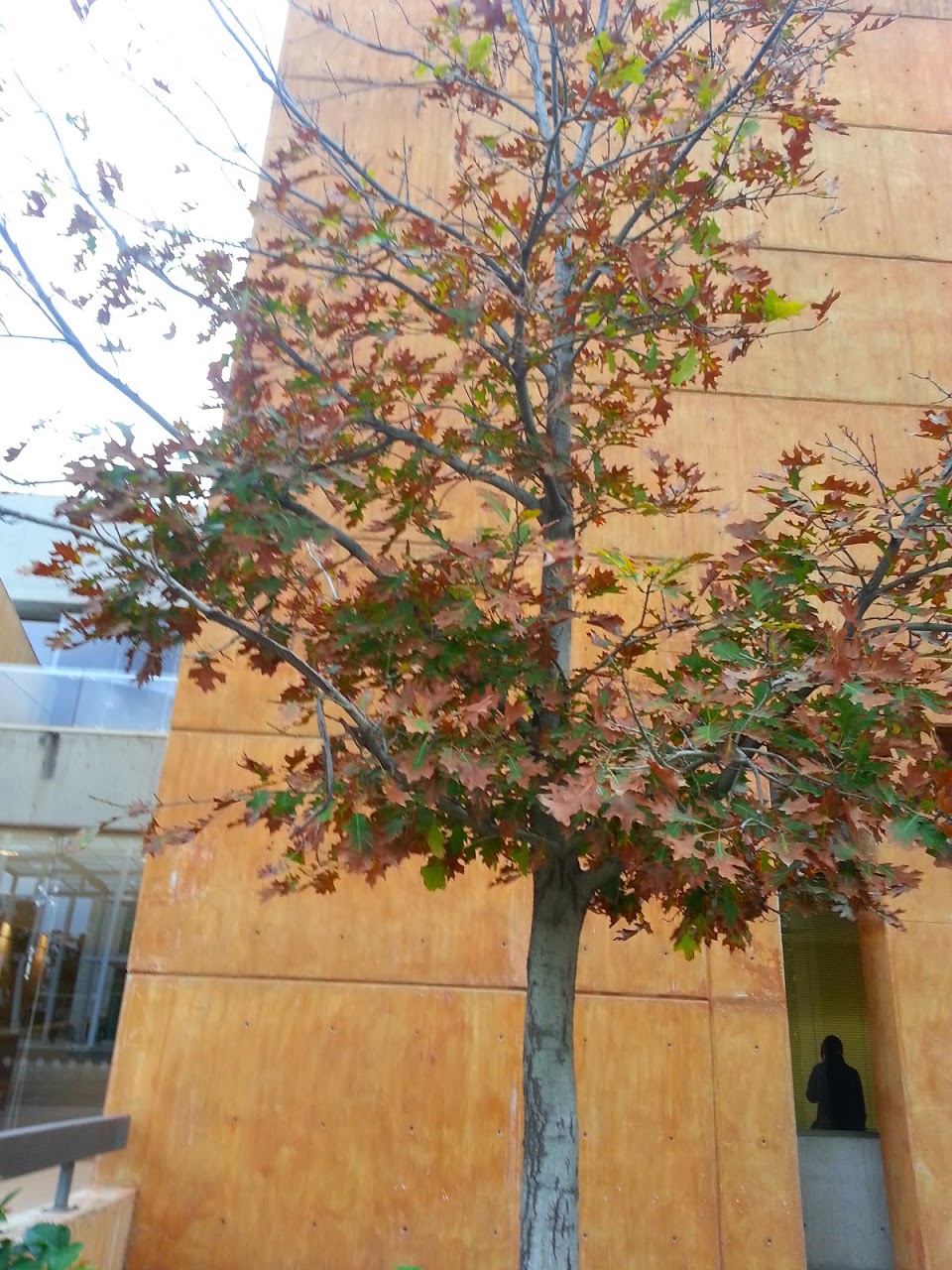 20130108_155442.jpg