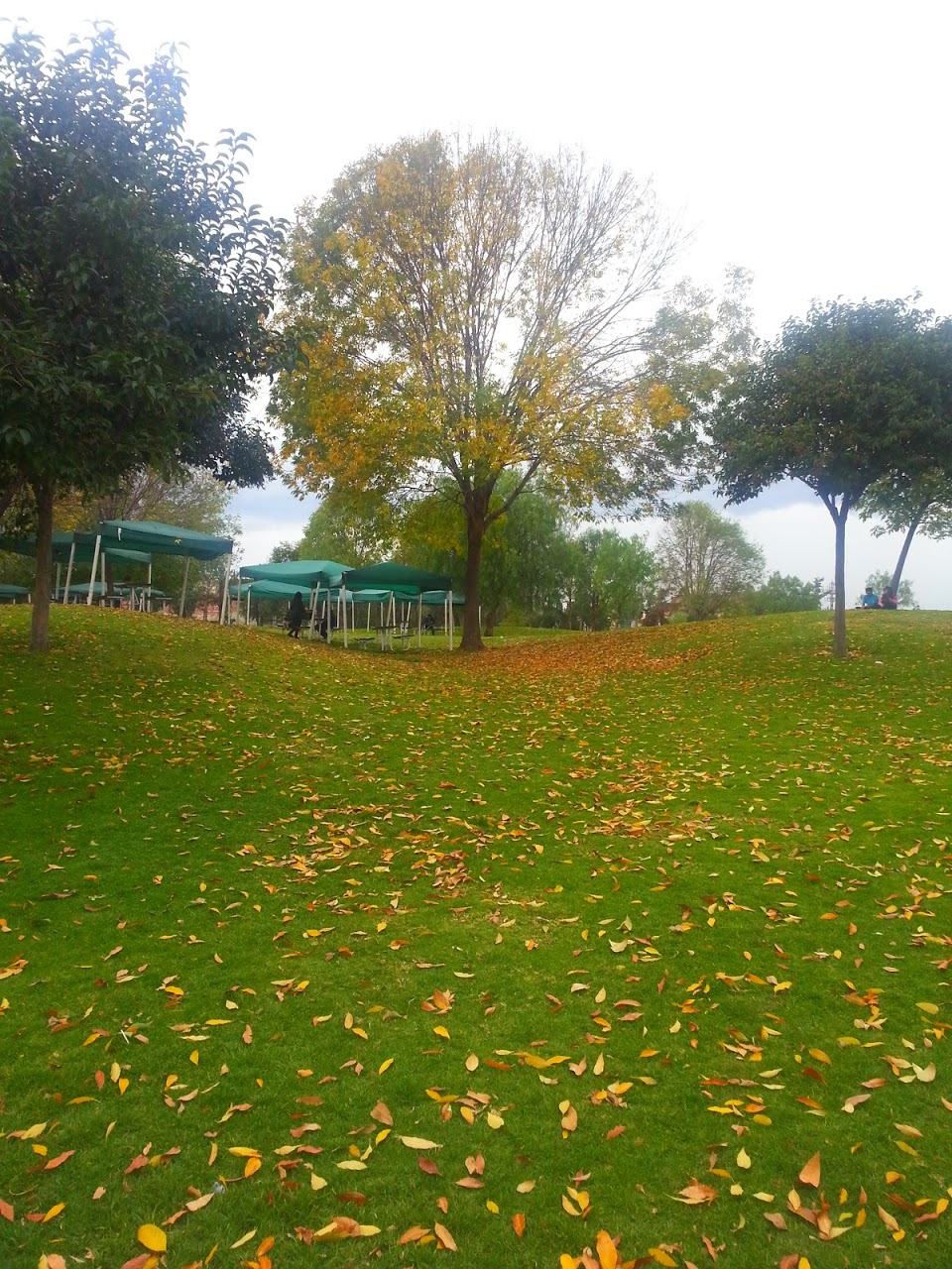 20130108_161818.jpg