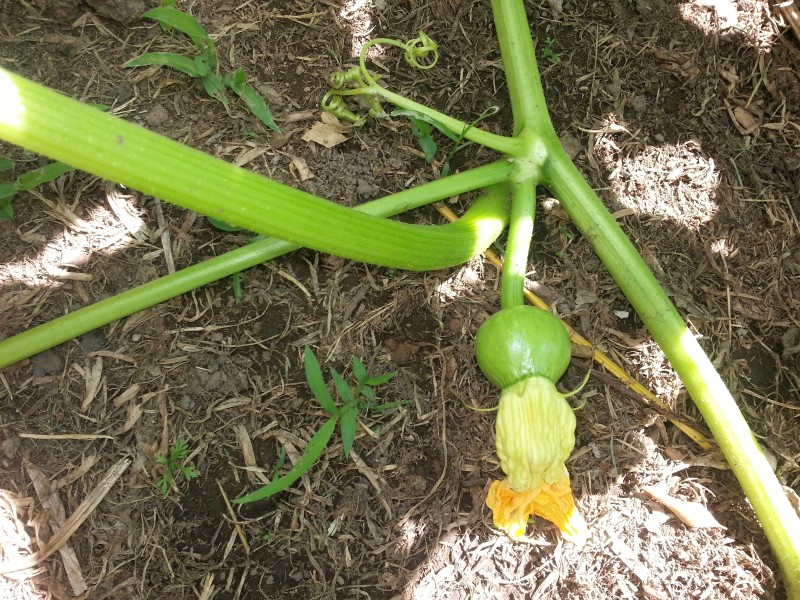20130110_152213.jpg