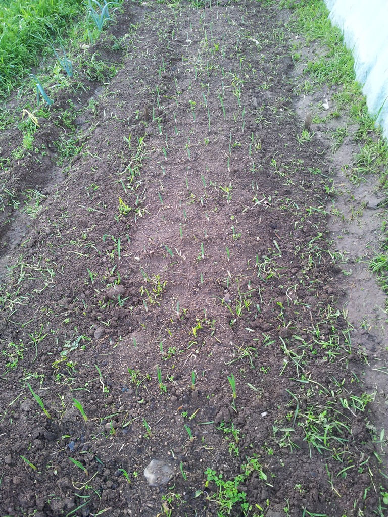 20130110_173413.jpg