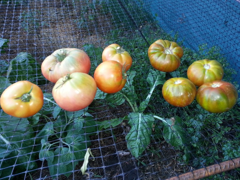 20130110_184159.jpg