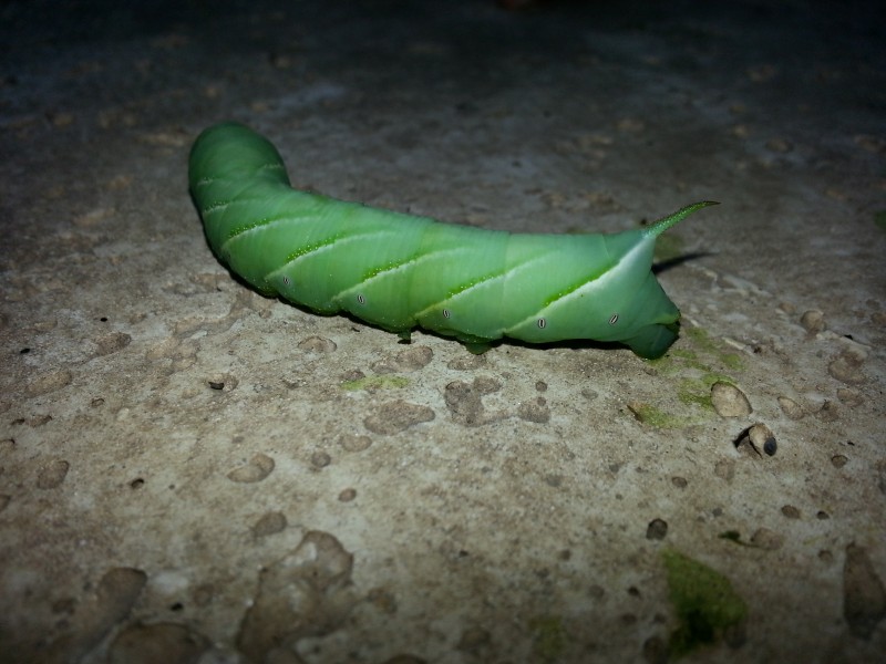 20130110_193613.jpg
