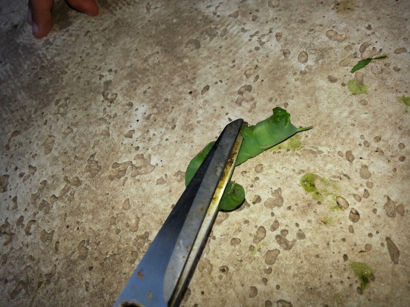 20130110_193626.jpg