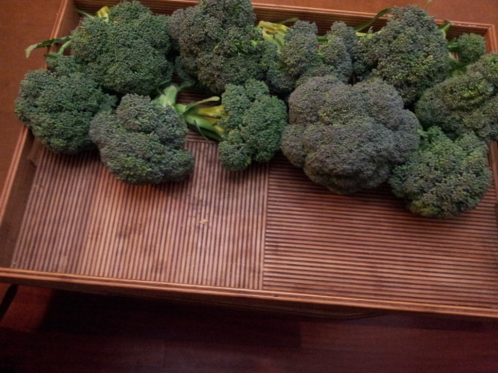 20130113_194916.jpg