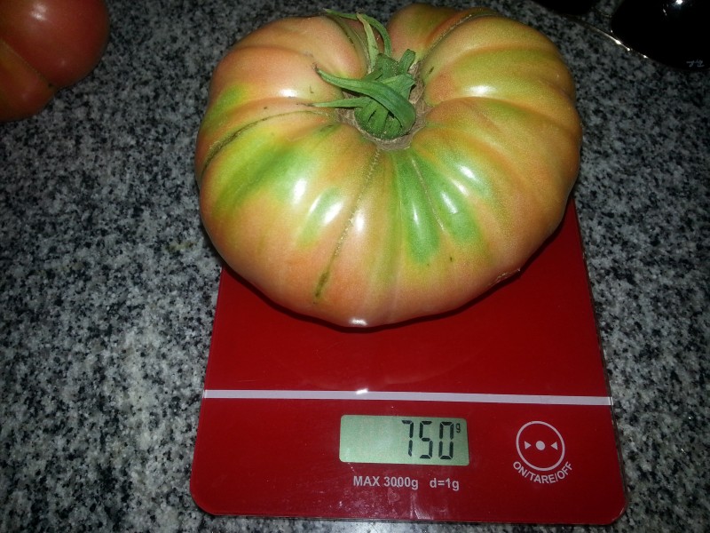 20130114_155927.jpg