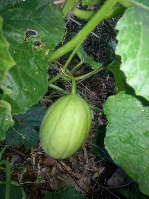 20130114_192524.jpg