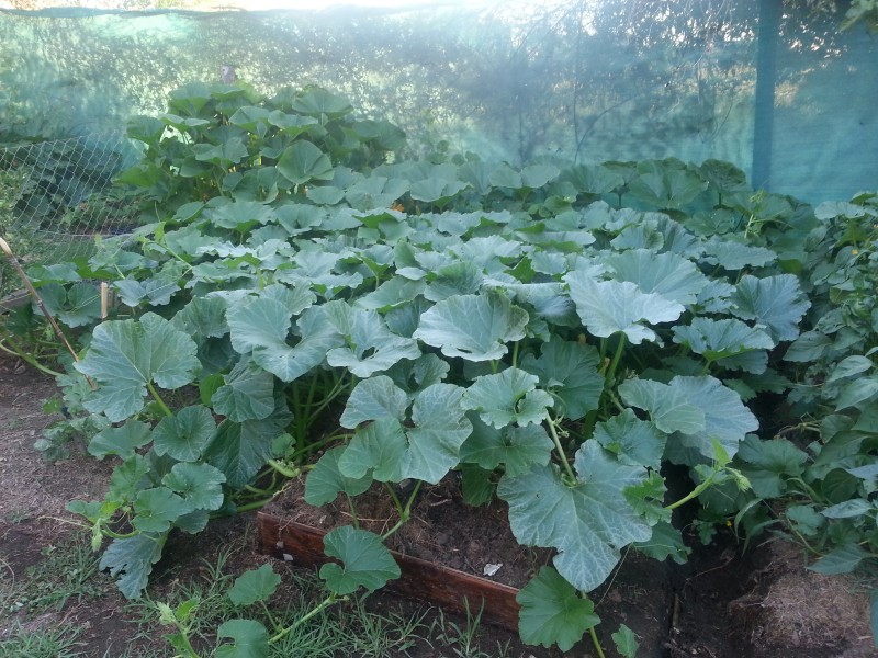 20130114_192729.jpg