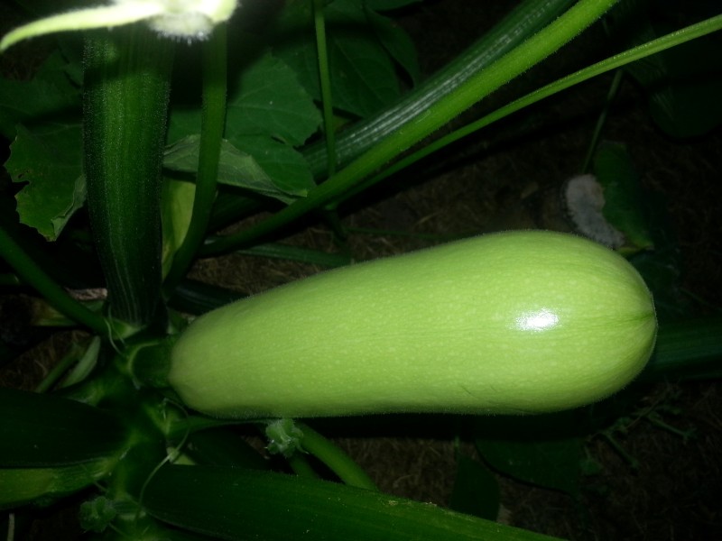 20130114_192752.jpg