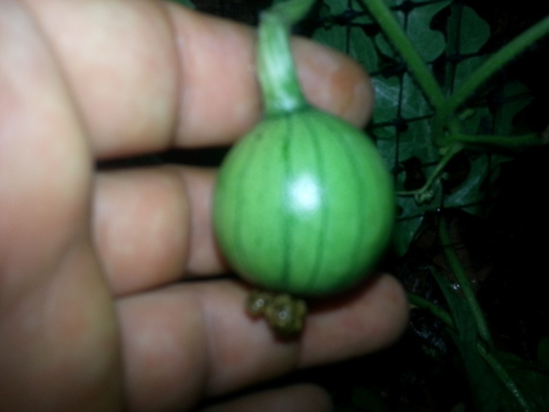 20130114_193617.jpg