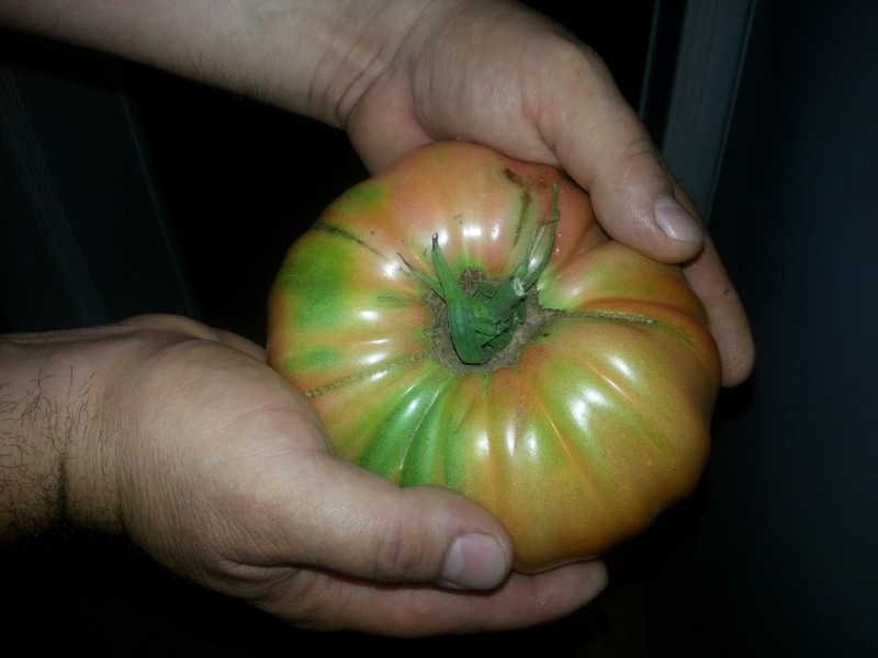 20130114_194225.jpg