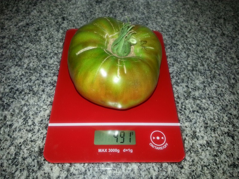 20130122_142608.jpg
