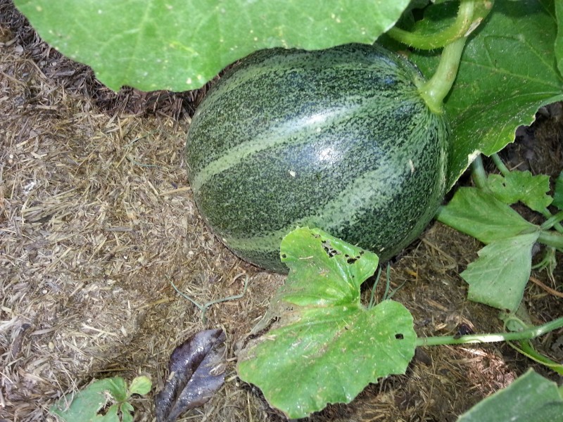 20130201_162704.jpg