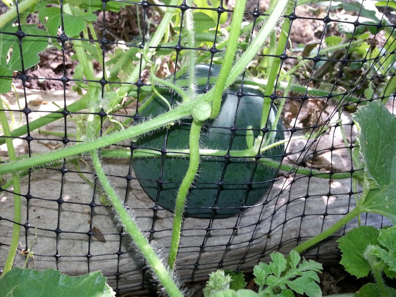 20130201_162800.jpg