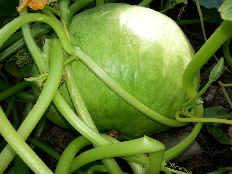 20130201_162852.jpg