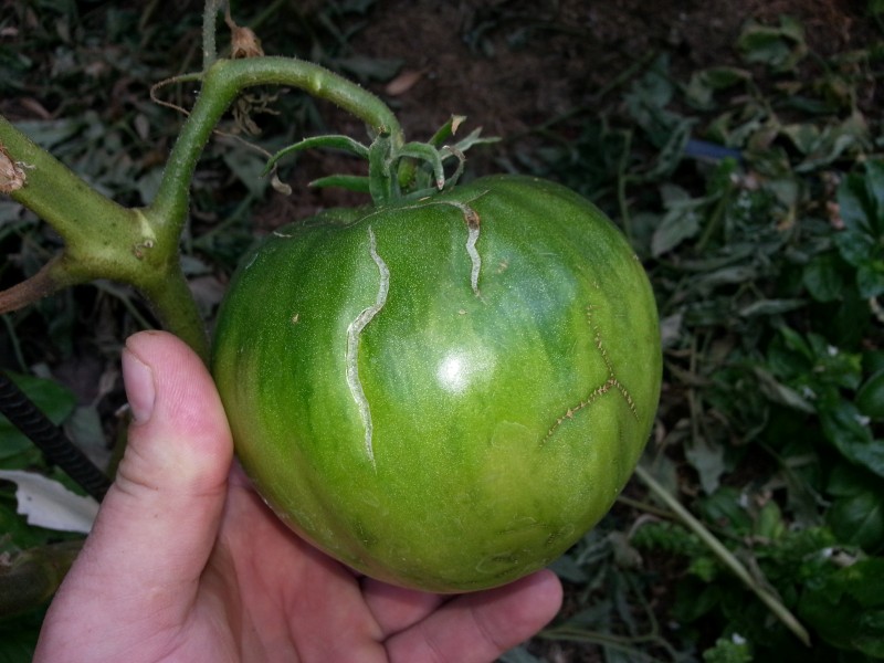 20130201_163233.jpg