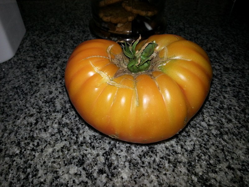20130201_165656.jpg