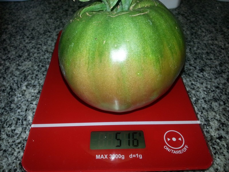 20130205_150215.jpg