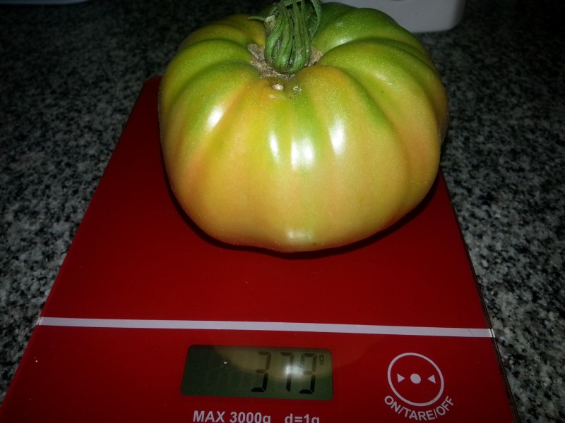 20130205_151133.jpg