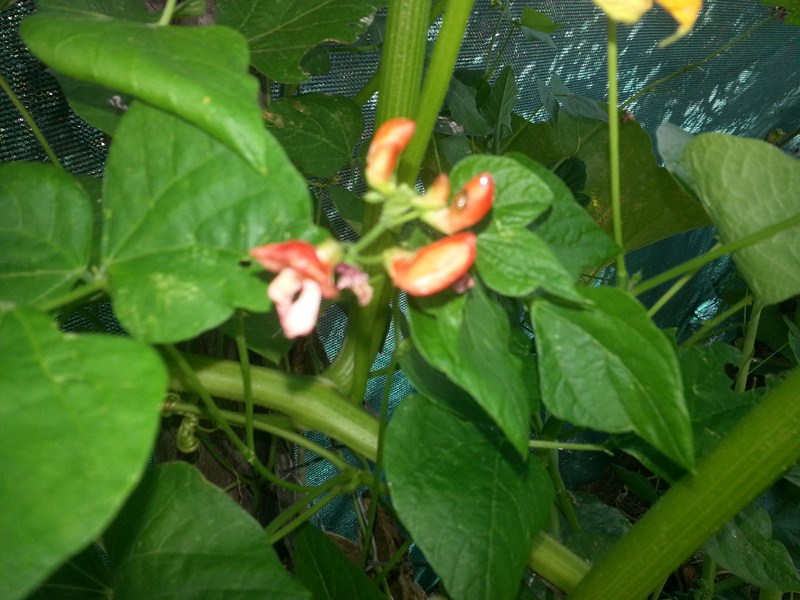 20130208_162014.jpg