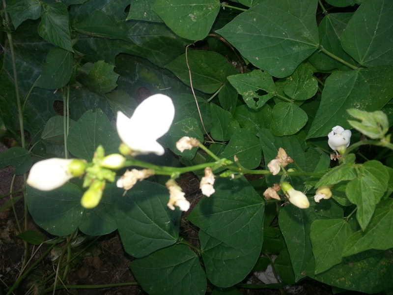 20130208_162032.jpg