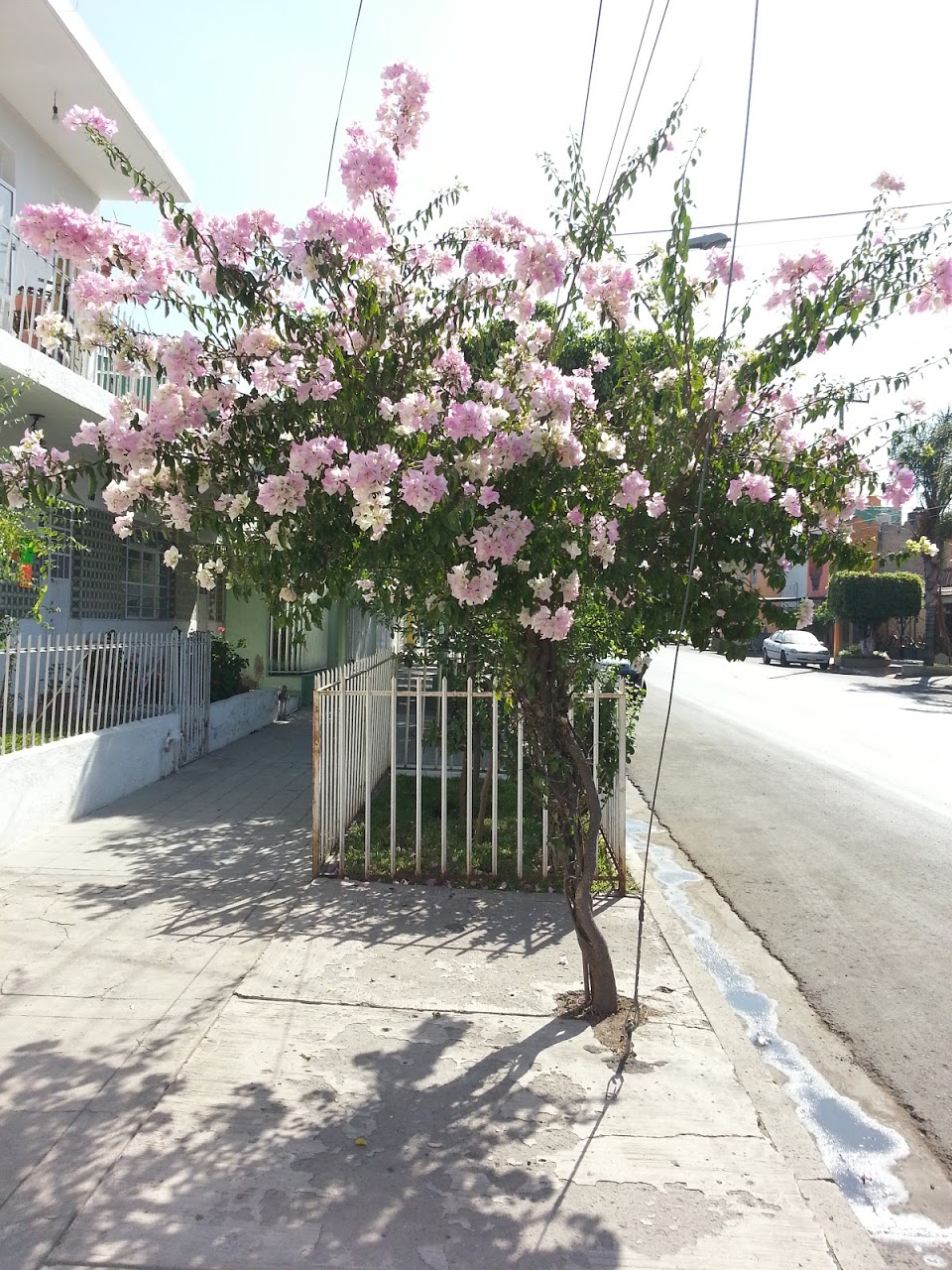 20130212_105938.jpg