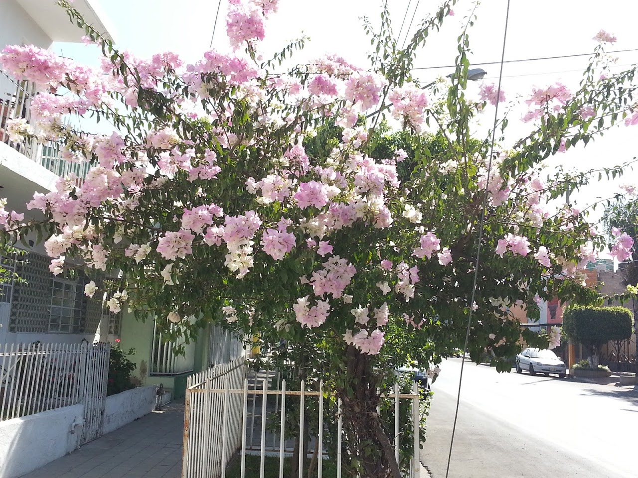 20130212_105944.jpg